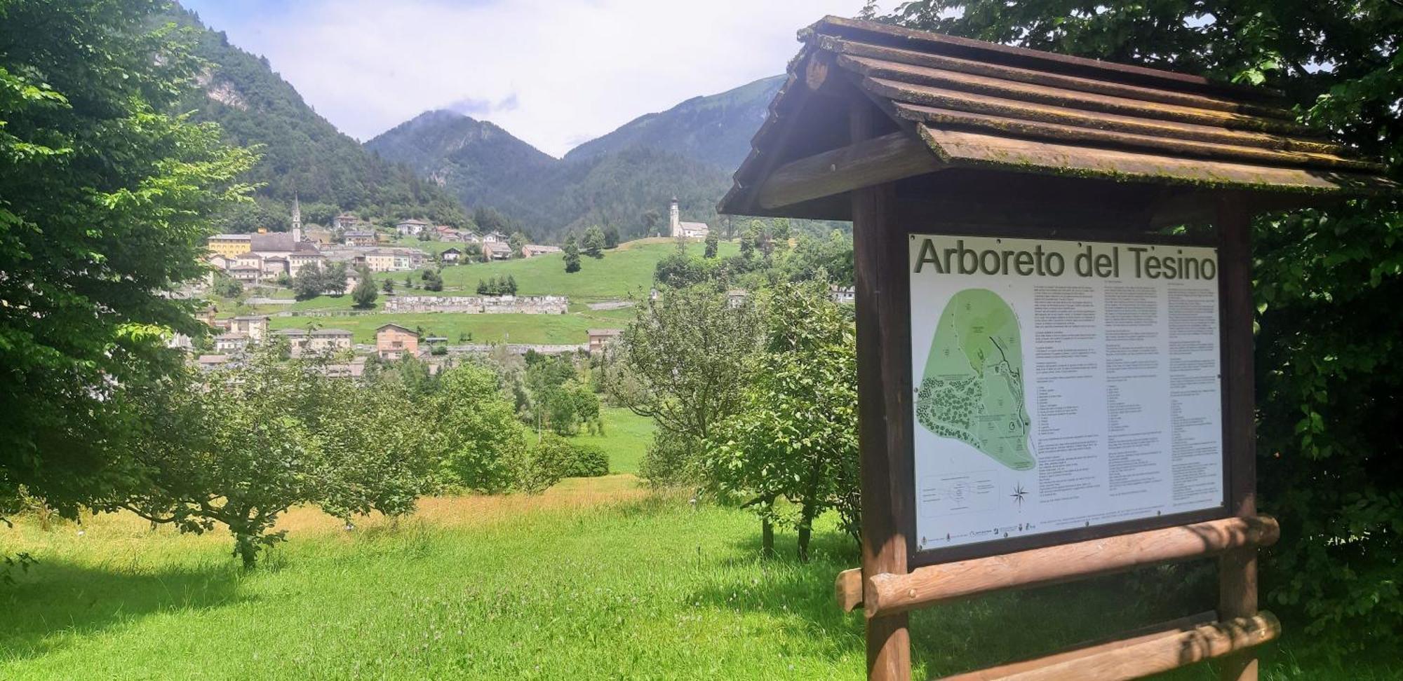 Albergo Chalet Abete Rosso Castello Tesino Esterno foto