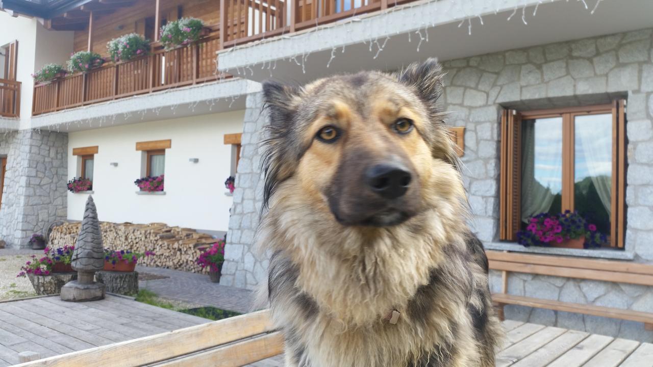 Albergo Chalet Abete Rosso Castello Tesino Esterno foto